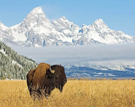The peaks at Grand Teton National Park are just minutes from Elk Ridge Estate, a Jackson Hole luxury vacation rental.